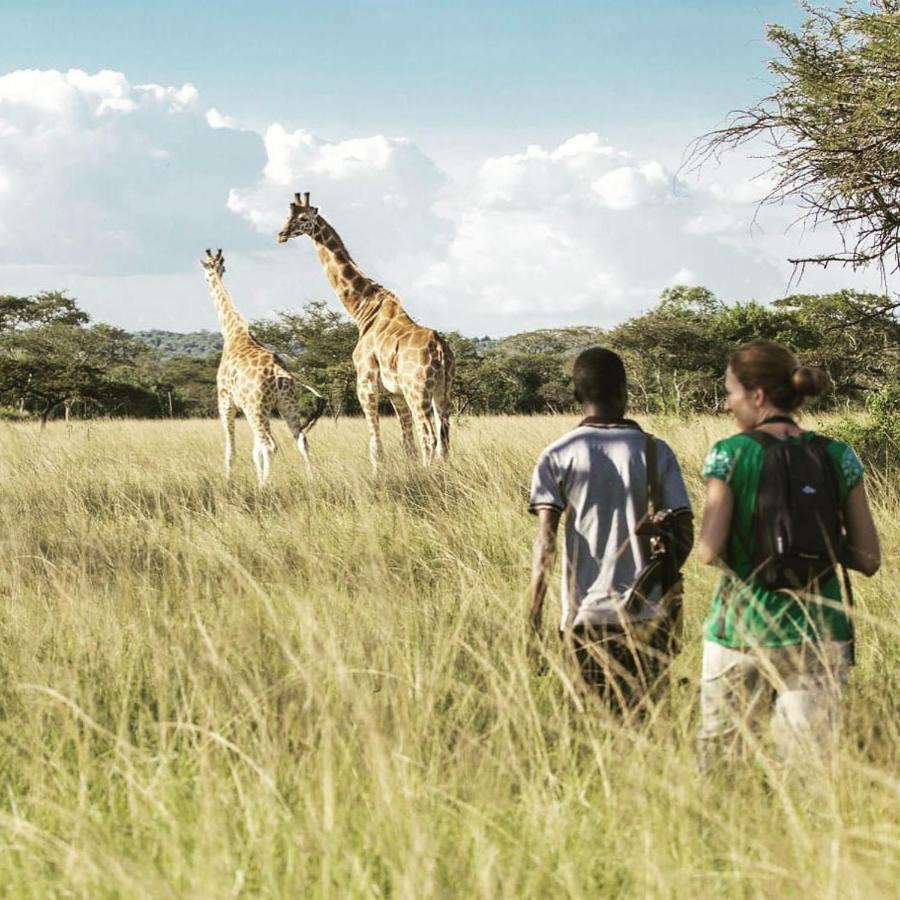 Amboseli Glass House Oloitokitok Exterior foto