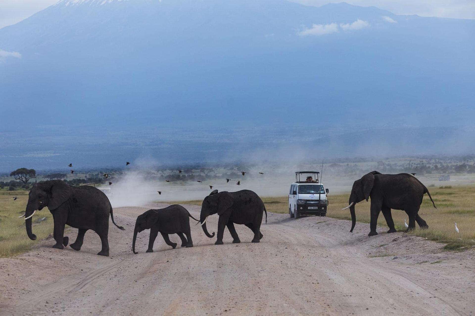 Amboseli Glass House Oloitokitok Exterior foto