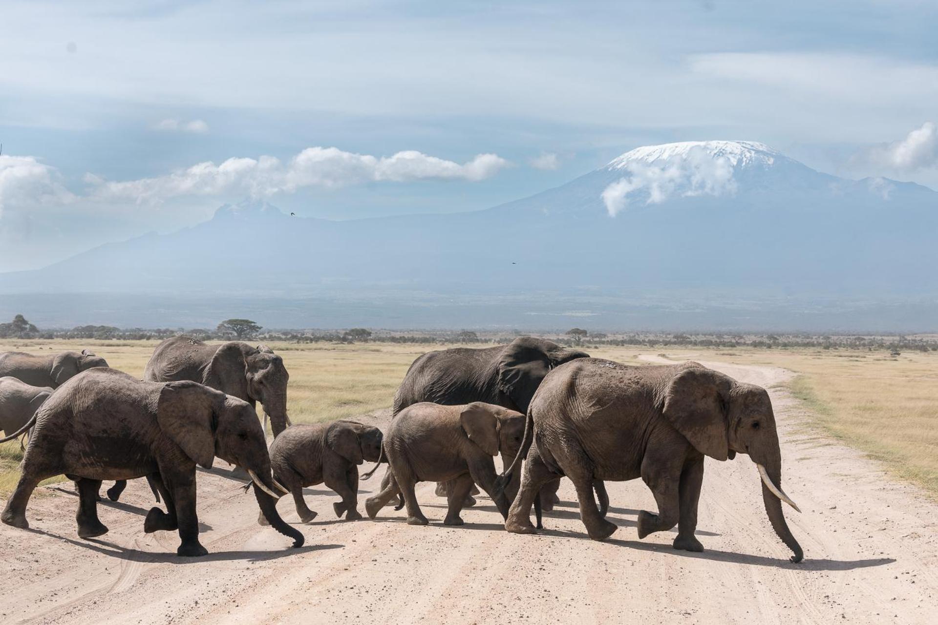 Amboseli Glass House Oloitokitok Exterior foto